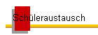 Schleraustausch