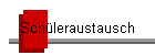 Schleraustausch